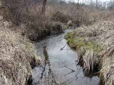 Traver Creek, OLson Park Sampling Site, 10 April 2010.